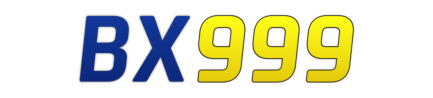 bx999 Logo